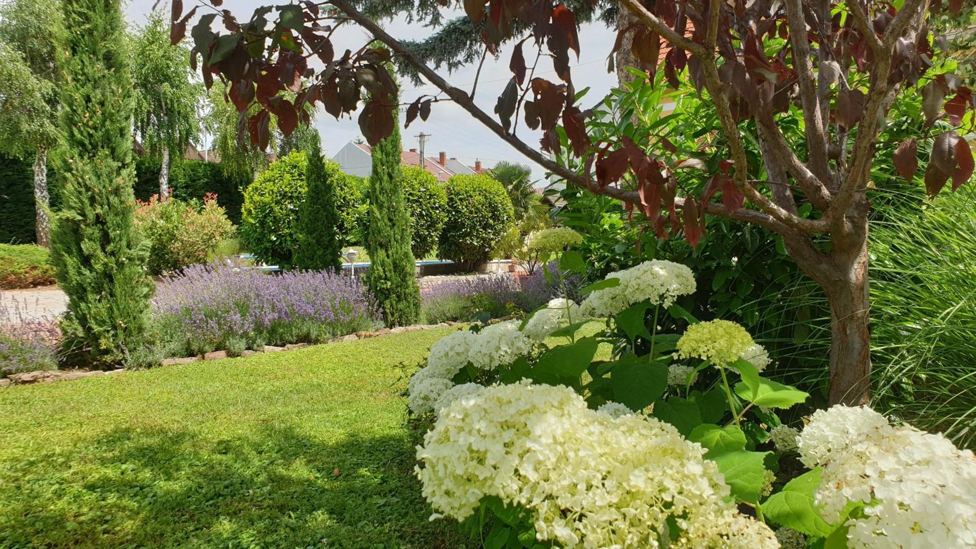Eden Villa Apartmanhaz Balatonfüred Exteriör bild